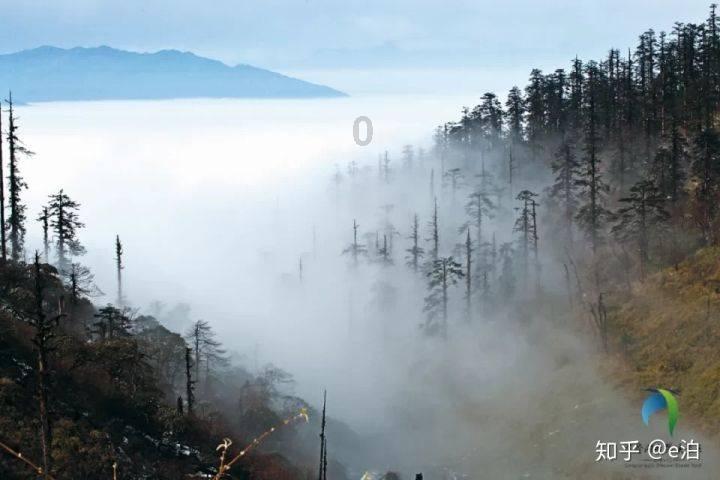 逗小猴开心系列203